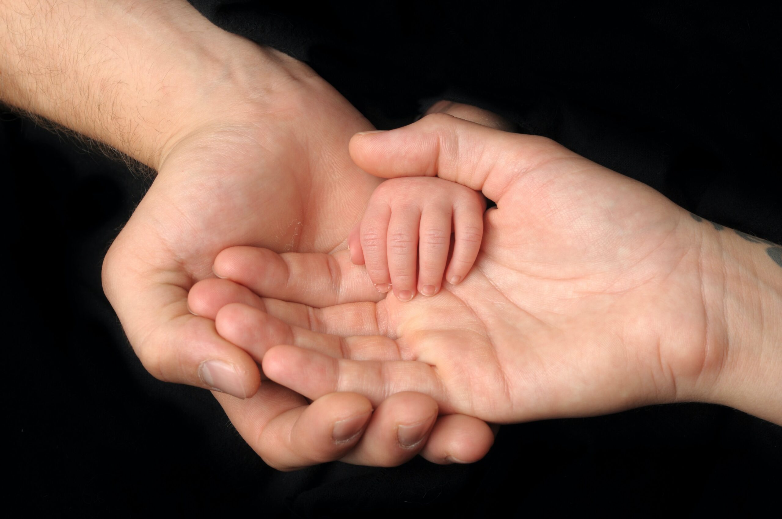The Gift of Life: 5 Reasons to Donate Your Milk This Holiday Season