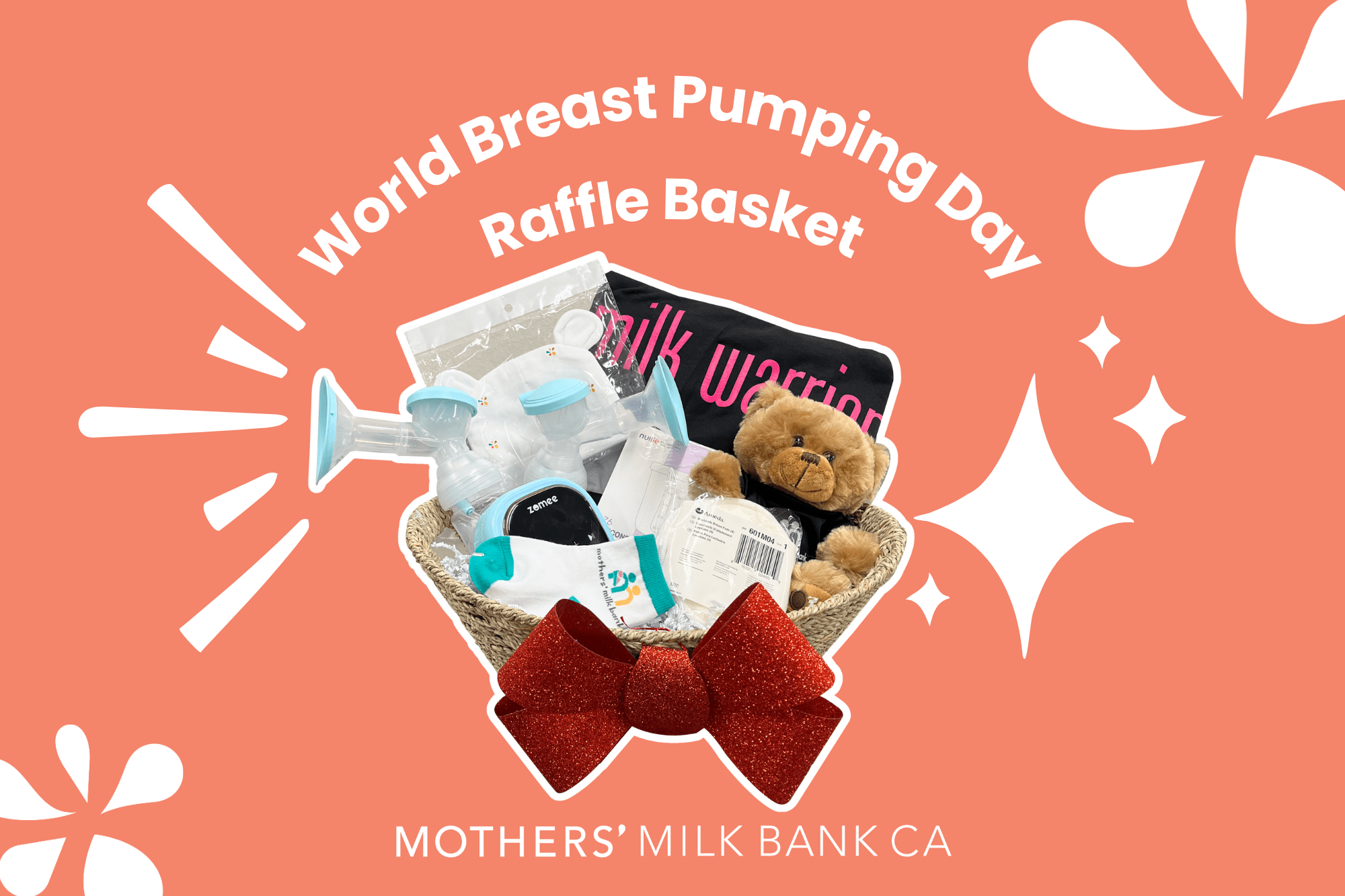 World Breast Pumping Day 2025 raffle basket